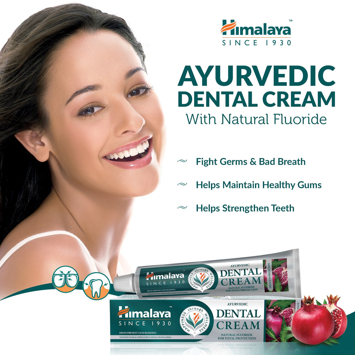 Himalaya Ayurvedic Dental Cream Herbal Toothpaste - Neem & Pomegranate - 100 g