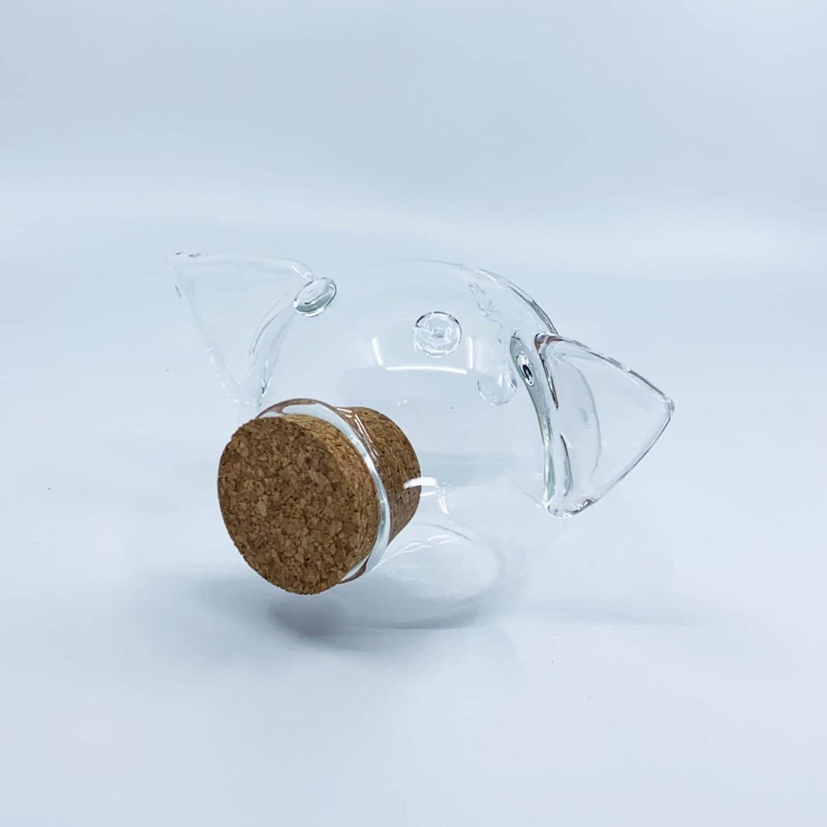 Glass Piggy Bank GLASS Collection-5