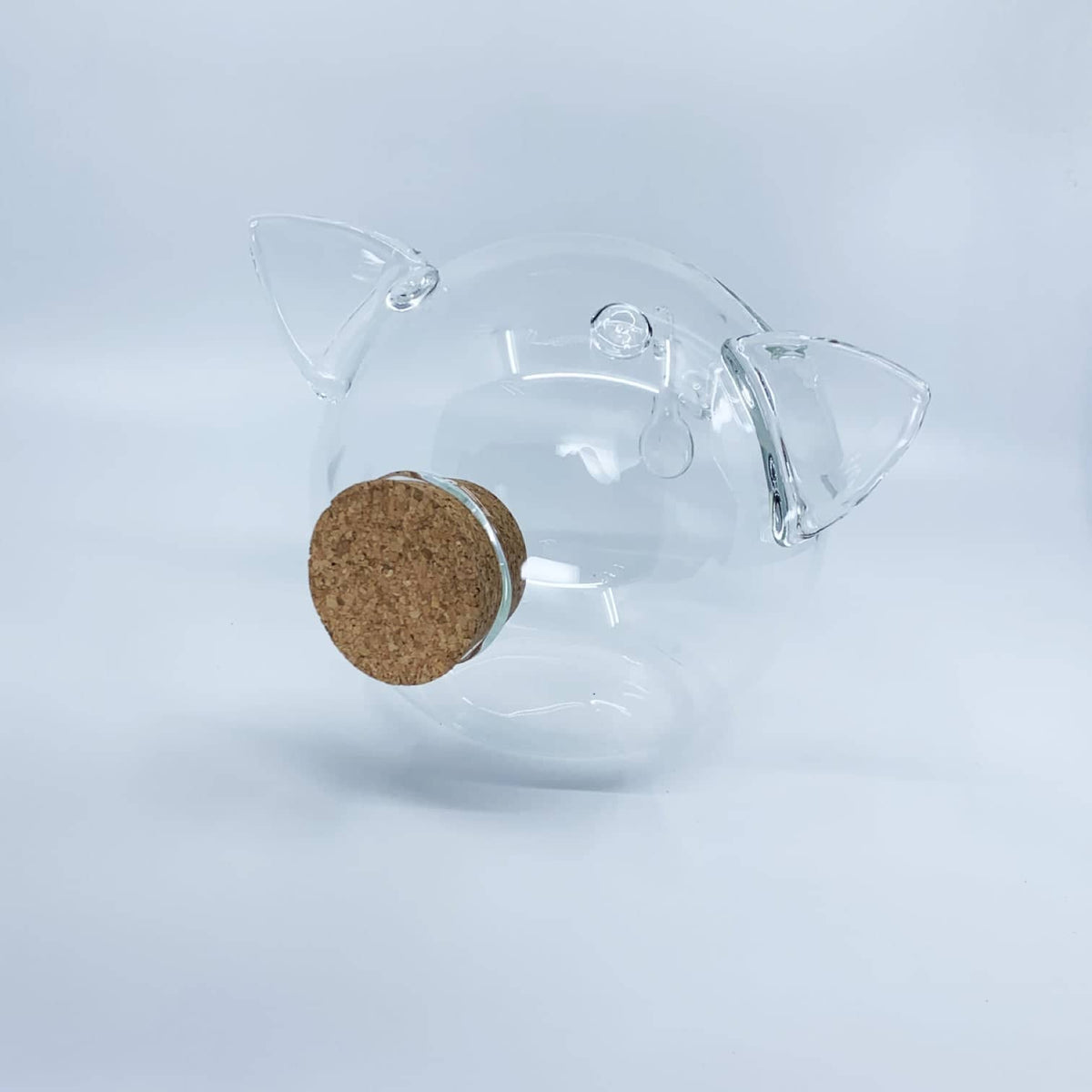 Glass Piggy Bank GLASS Collection-6