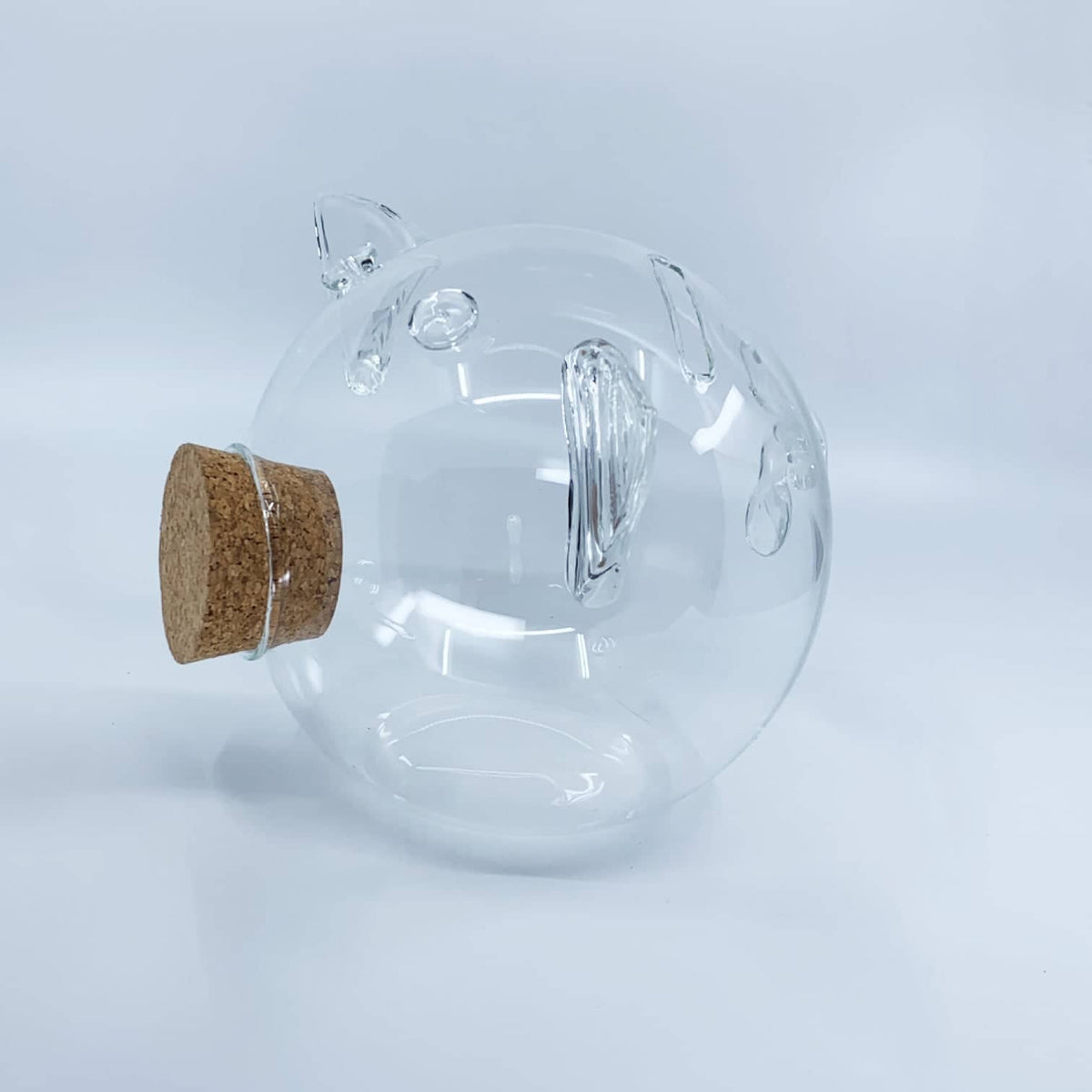 Glass Piggy Bank GLASS Collection-0