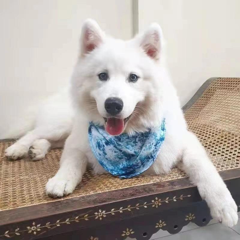 BANDANA - OCEAN BLUE-3