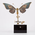 Dynamic Butterfly with Music Box (Red)-0