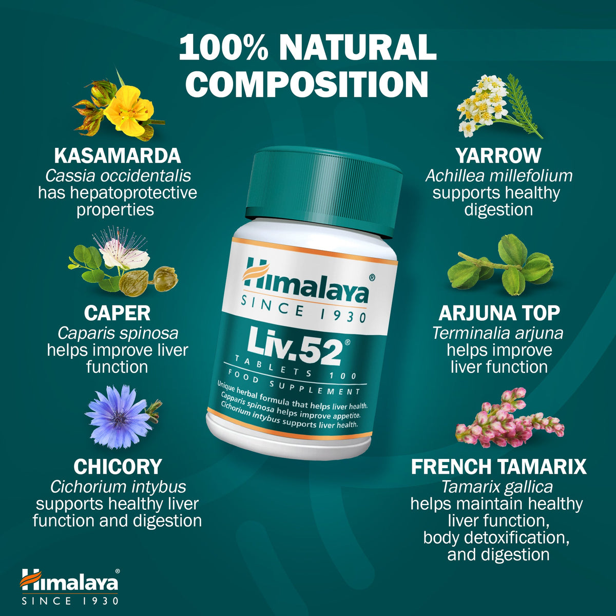 Himalaya Liv.52 - 100 Tablets
