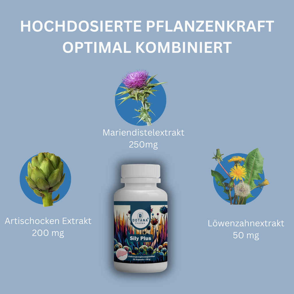 Sily Plus - Mariendistel Kapseln mit Artischocke & Löwenzahn - Leberunterstützung & Zellschutz - 90 Kapseln, Natürlich & Made in Germany-2