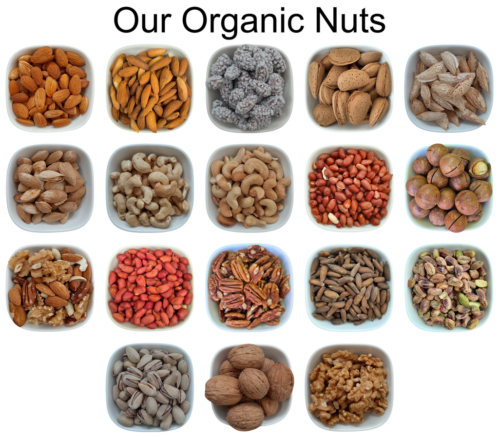 Dried Banana Chips – Natural Organic Premium-quality + Free sample!-2