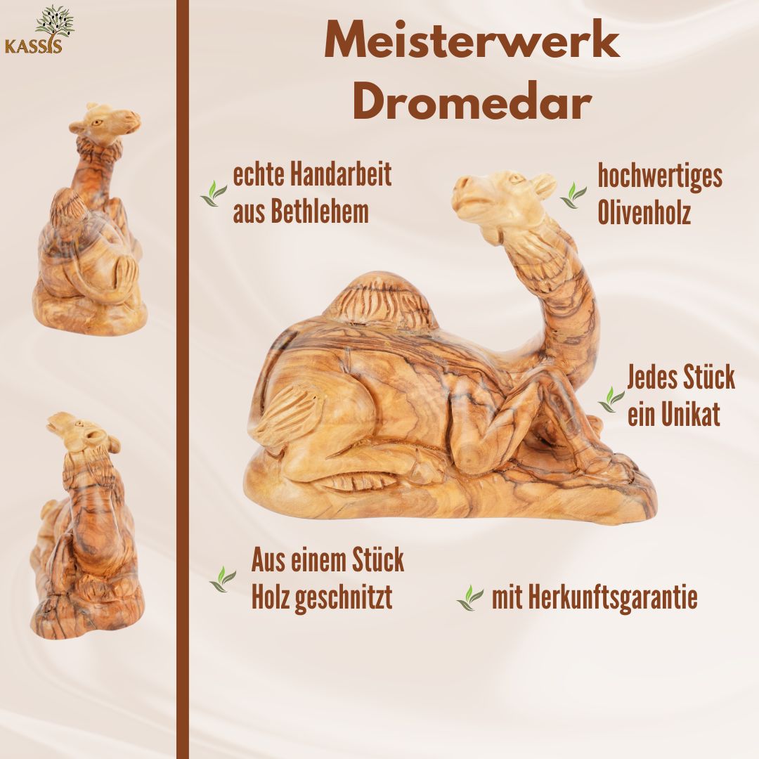 Handgeschnitztes Dromedar aus Olivenholz – Kunstvolle Krippenfigur aus Bethlehem (11,5 cm)-4