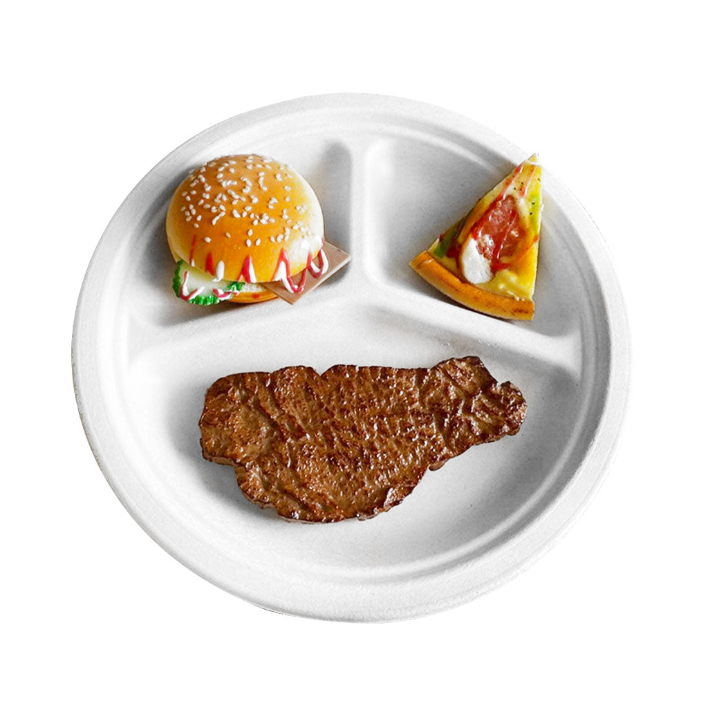 Compostable Plates with Compartments - Sold By The Case-2