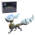 Fox Libai-0