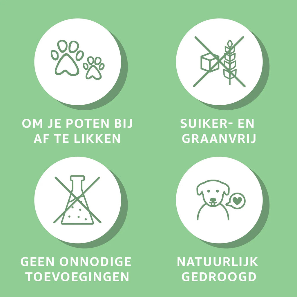 Paardenhuid-4