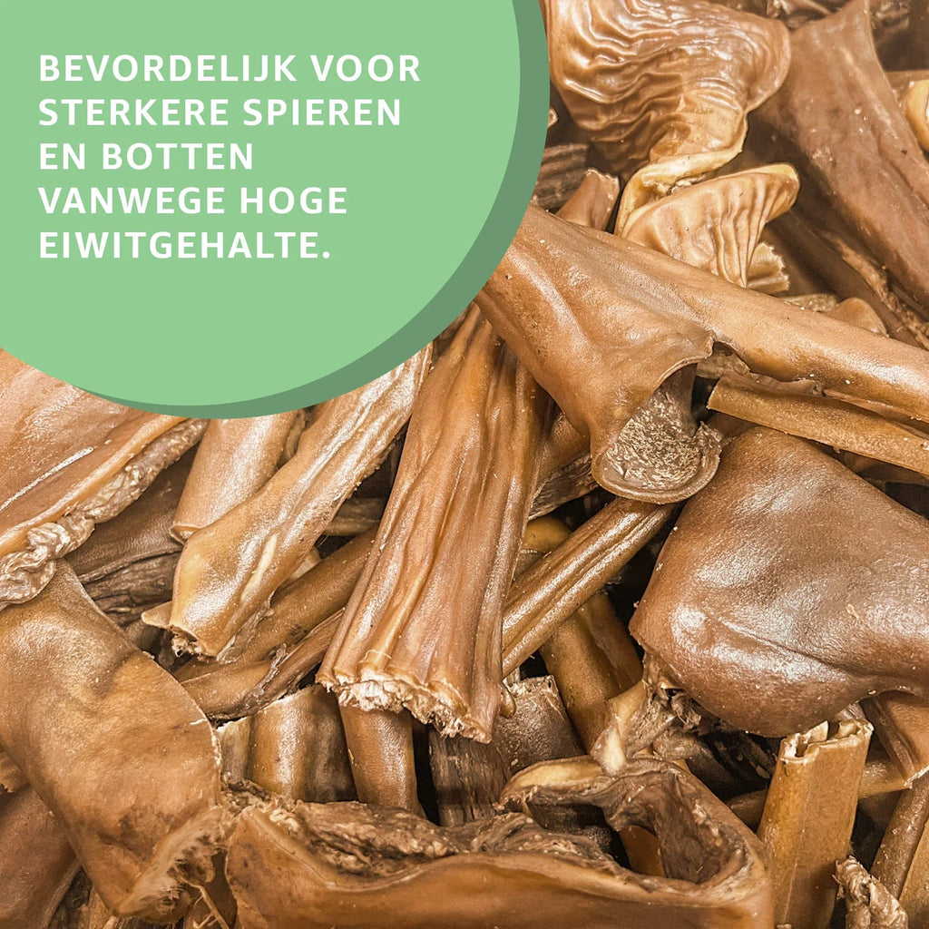 Paardenhuid-3