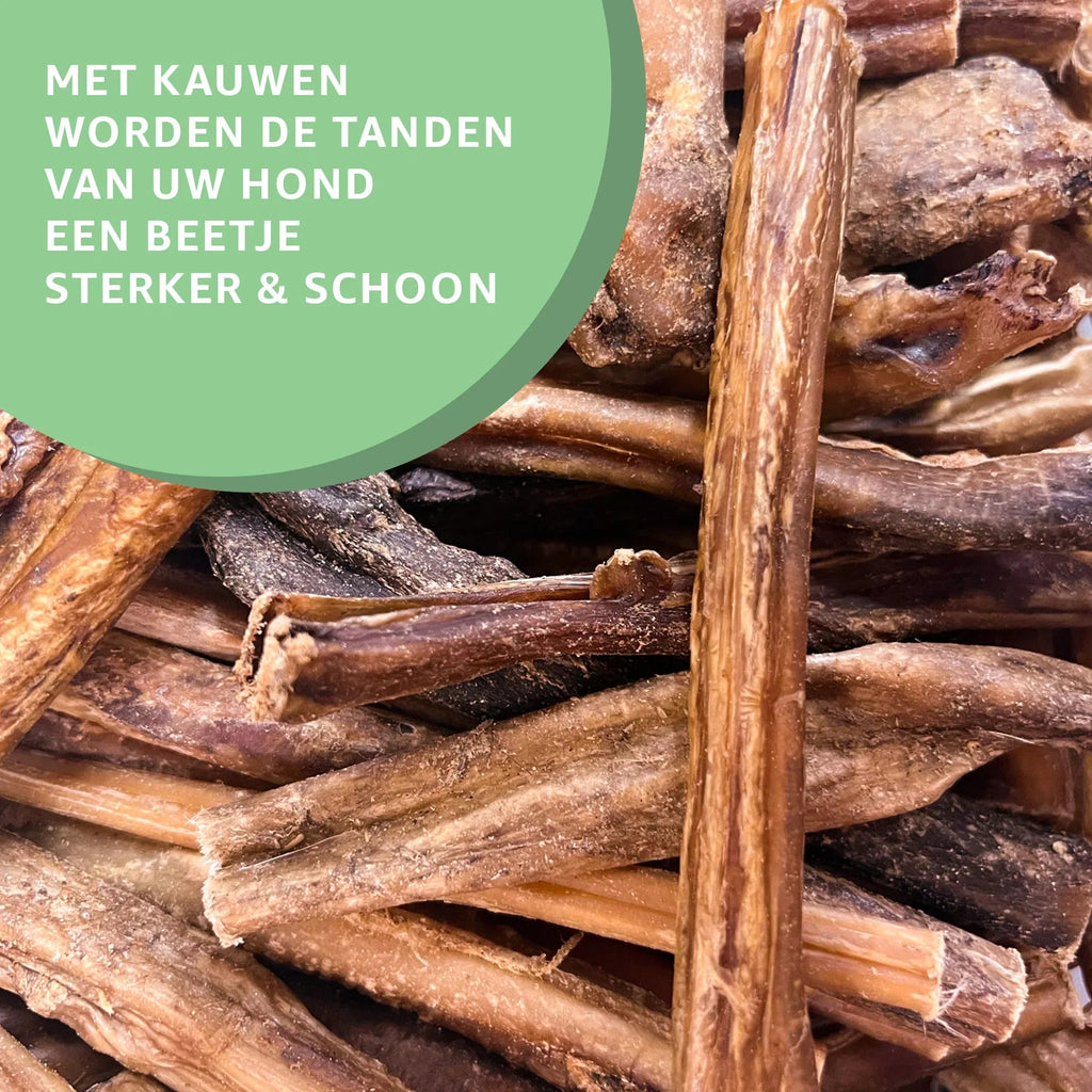 Bullepezen-3