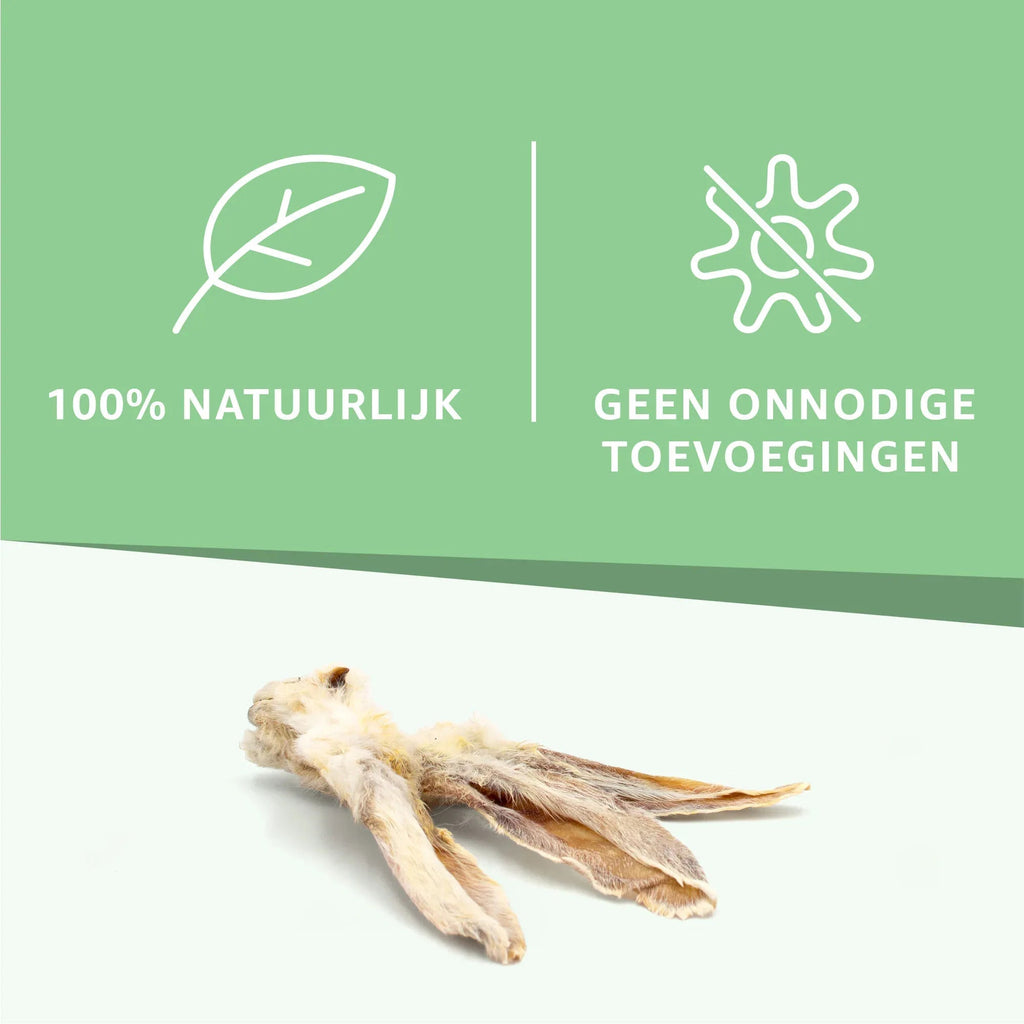 Konijnenoren met vacht-1