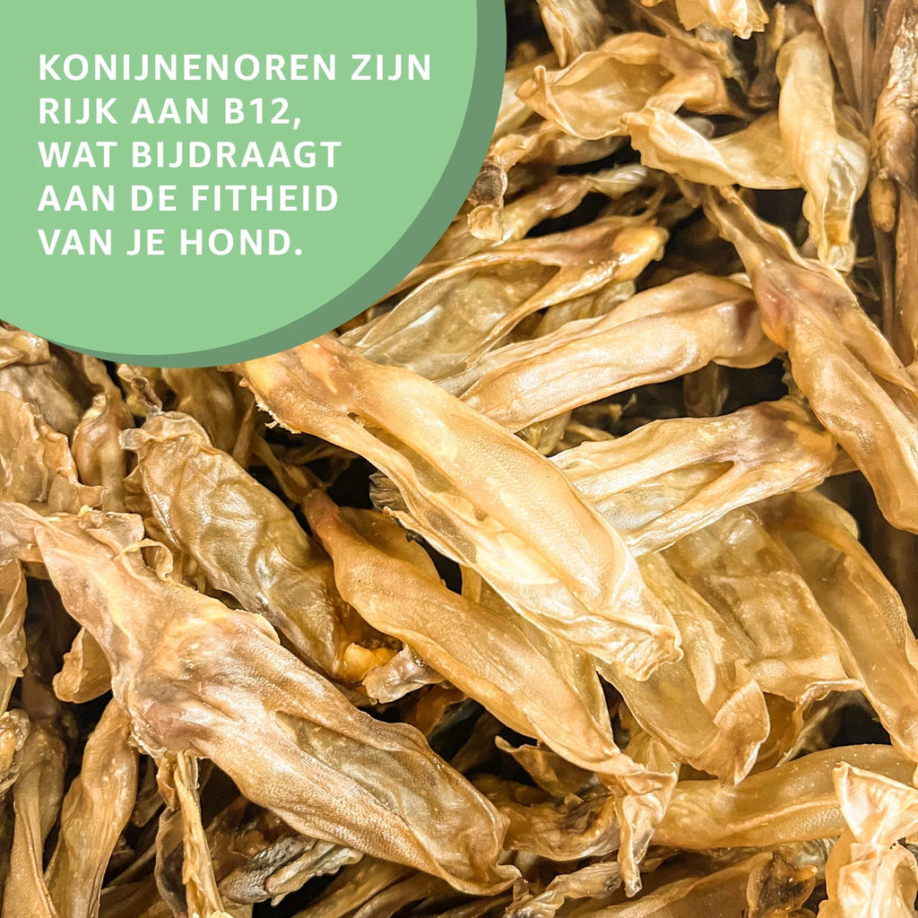 Konijnenoren zonder haar-3