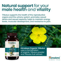 Himalaya Organic Tribulus (Gokshura)