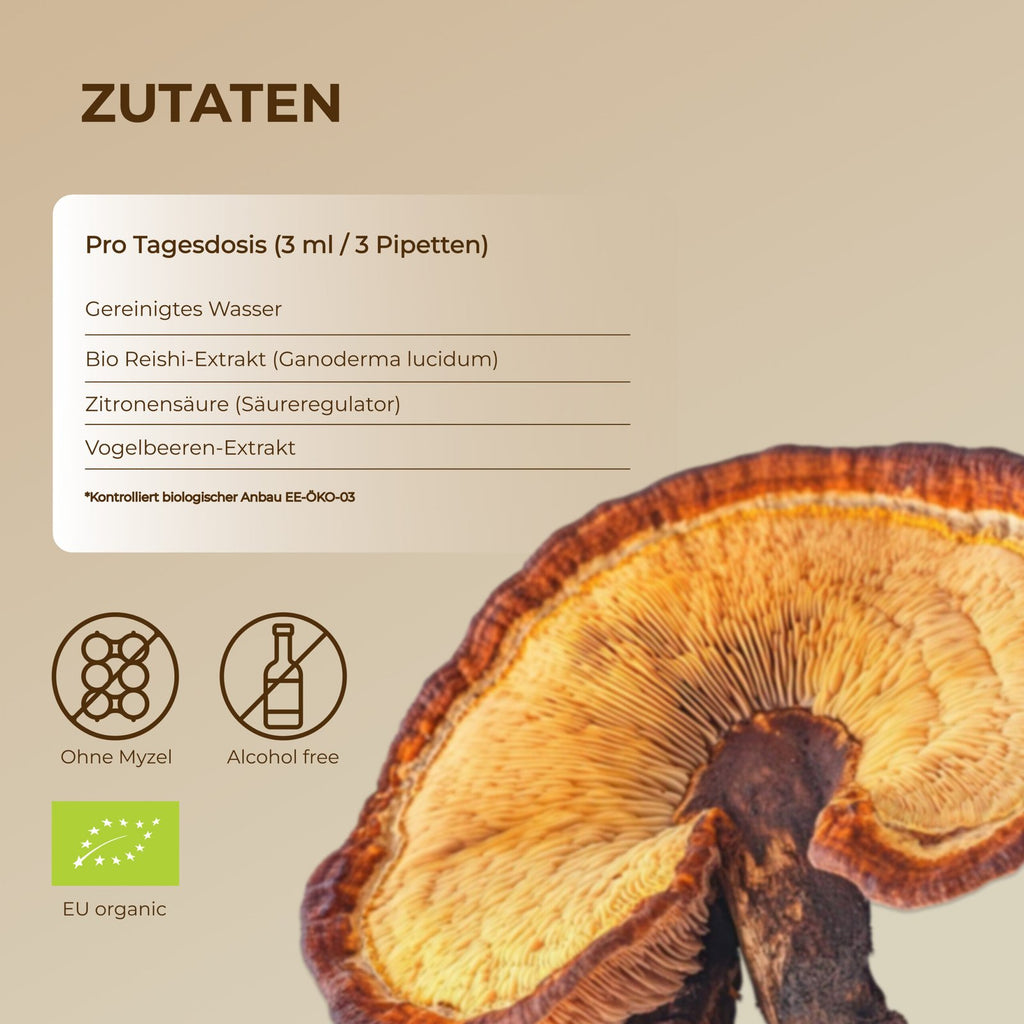Bio Reishi Flüssigextrakt - 100ml