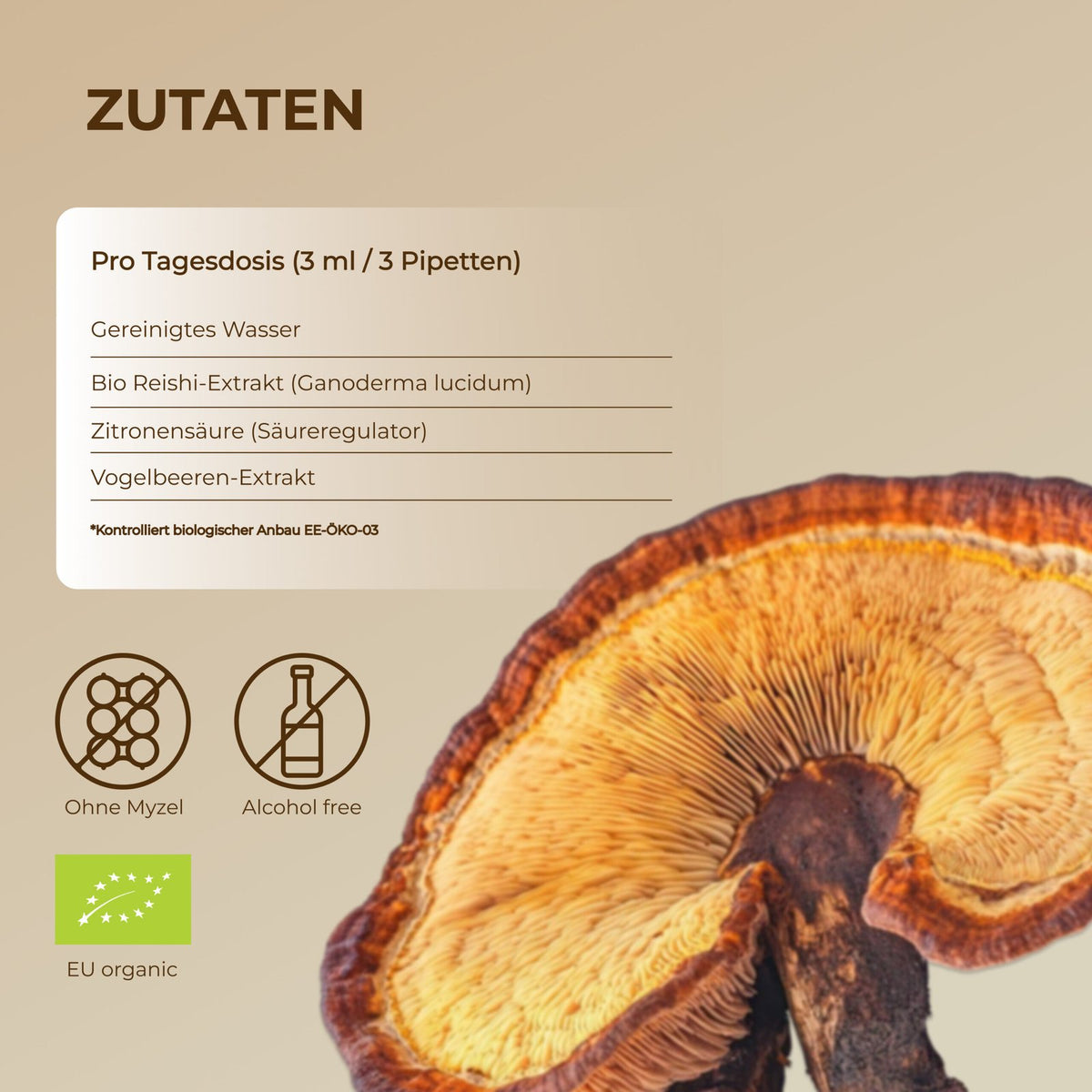 Bio Reishi Flüssigextrakt - 100ml