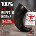 Buffalo Horn-Large (6-8 inch)-Dog Treats-0