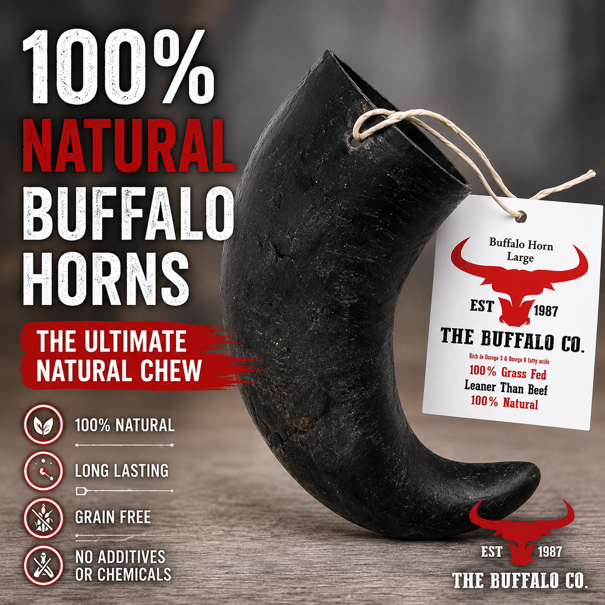 Buffalo Horn-Large (6-8 inch)-Dog Treats-0