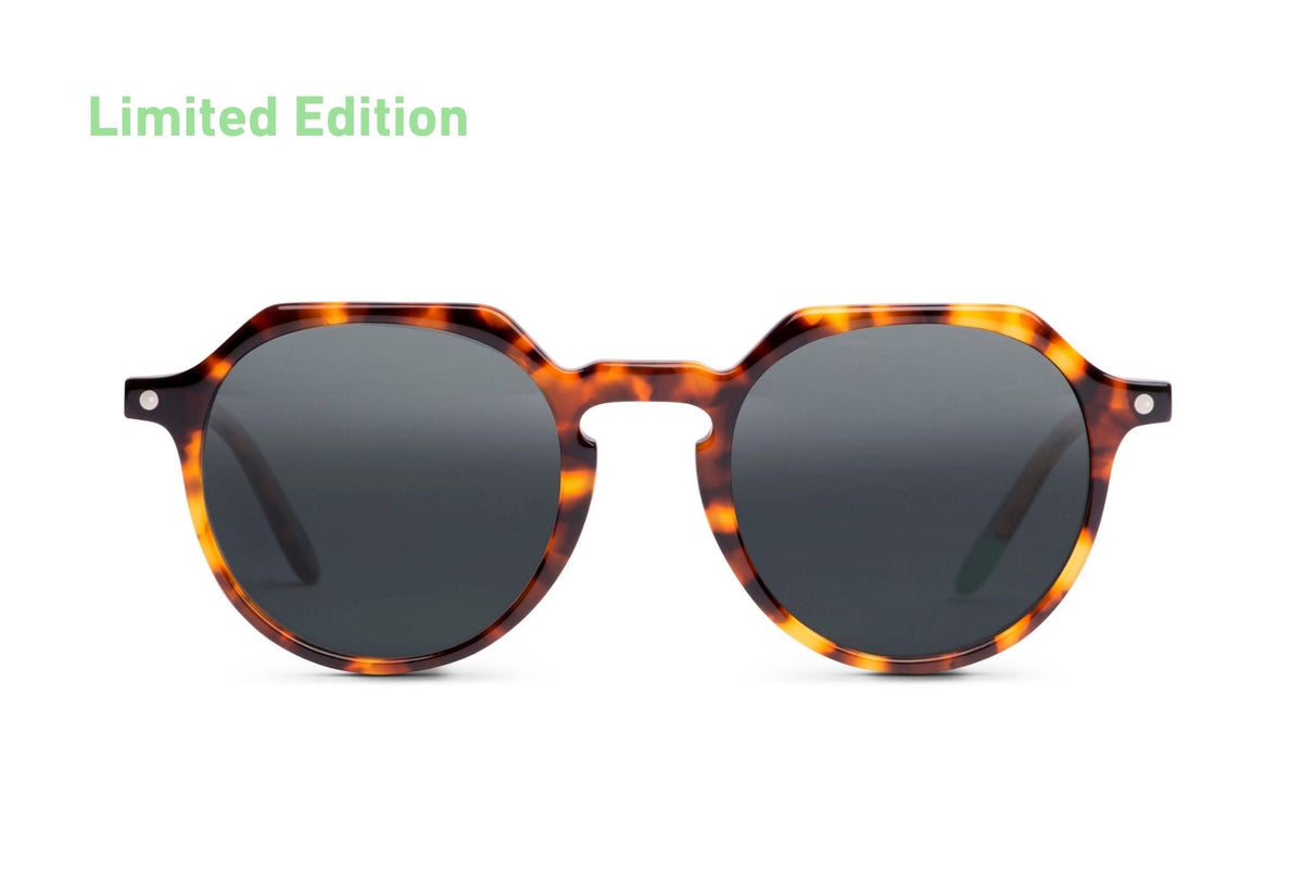 Chobe – Tortoise - SUNGLASSES-0
