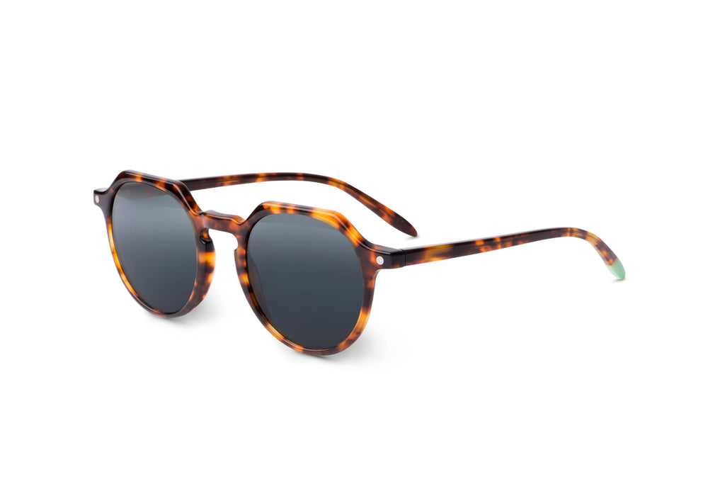 Chobe – Tortoise - SUNGLASSES-1
