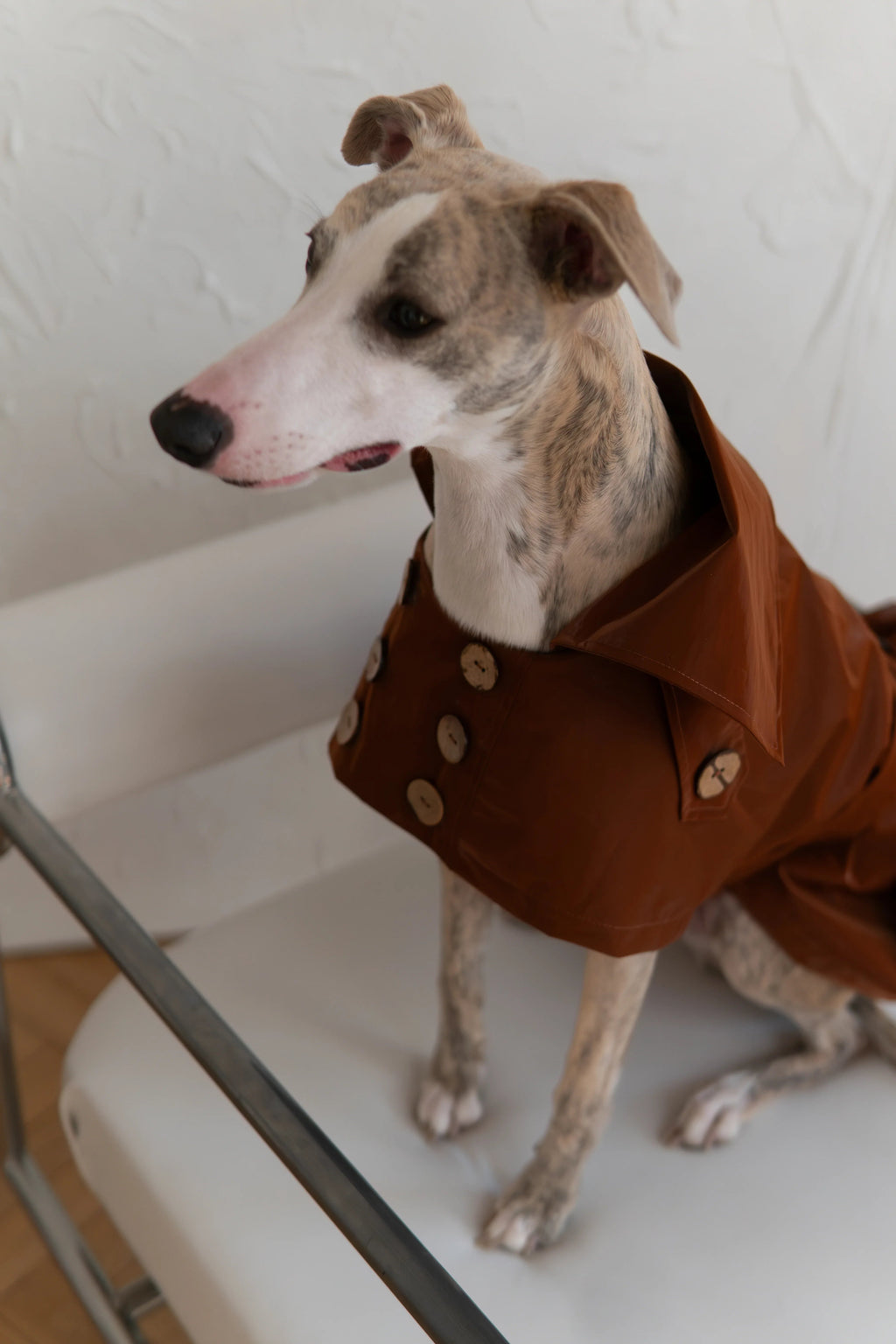 Water-repellent Dog Trench Coat - Chocolate Brown-3