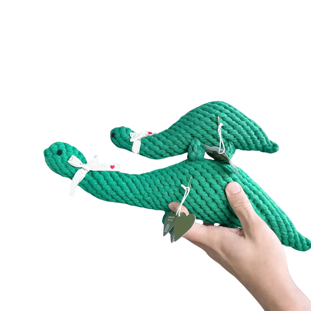 Rex the Green Dinosaur Rope Toy-4