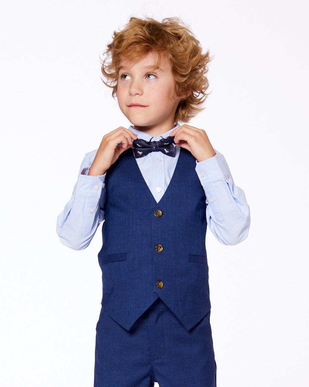 Bow Tie Blue Dino Print-1