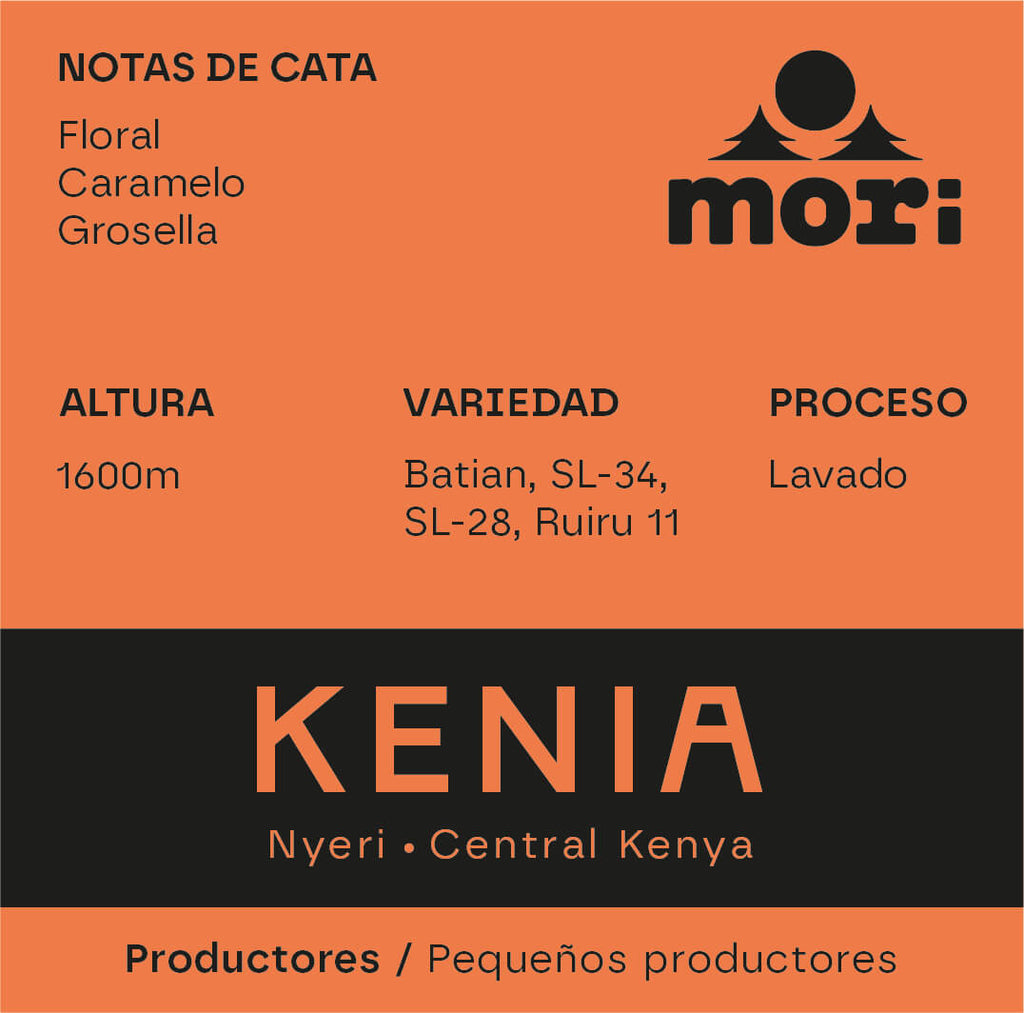 Kenya - Nyeri - Kenia Central - Lavado-0
