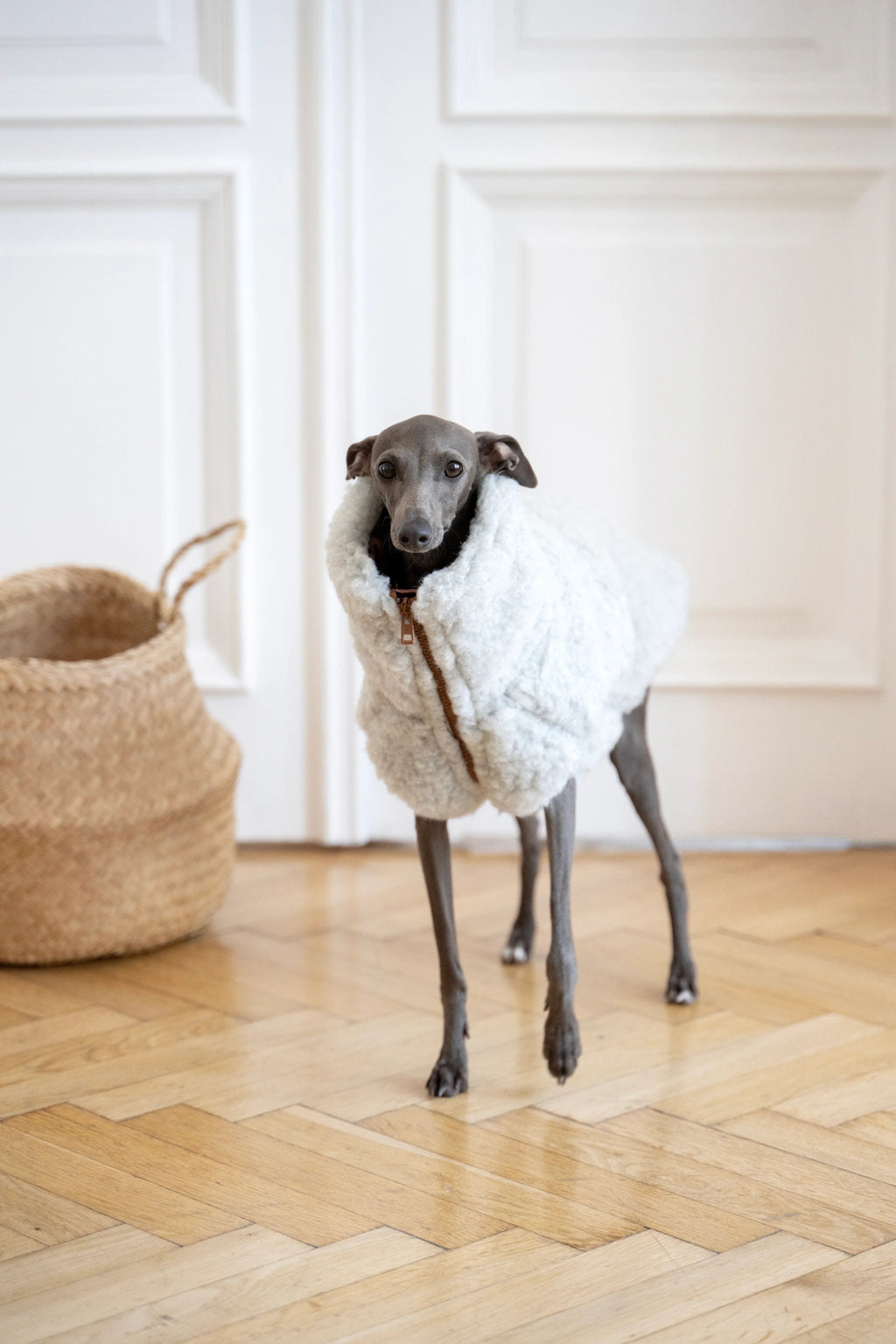 Woolen Dog Vest - Light Grey-1