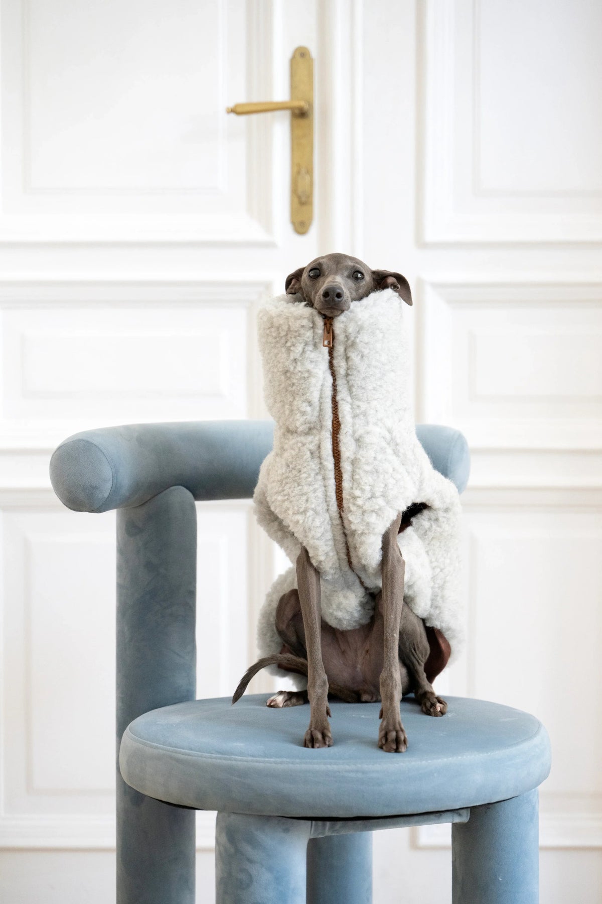Woolen Dog Vest - Light Grey-0