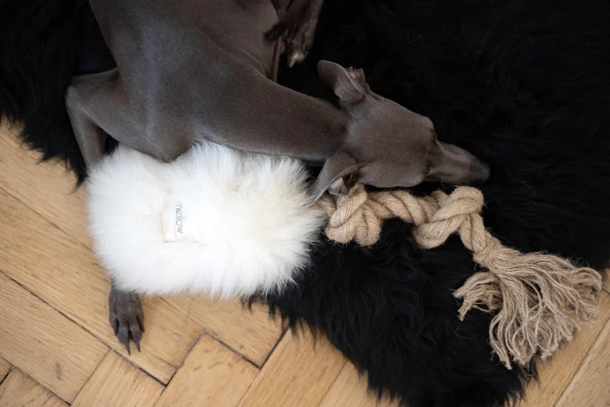 Natural Sheepskin Dog Tug Toy - White-3