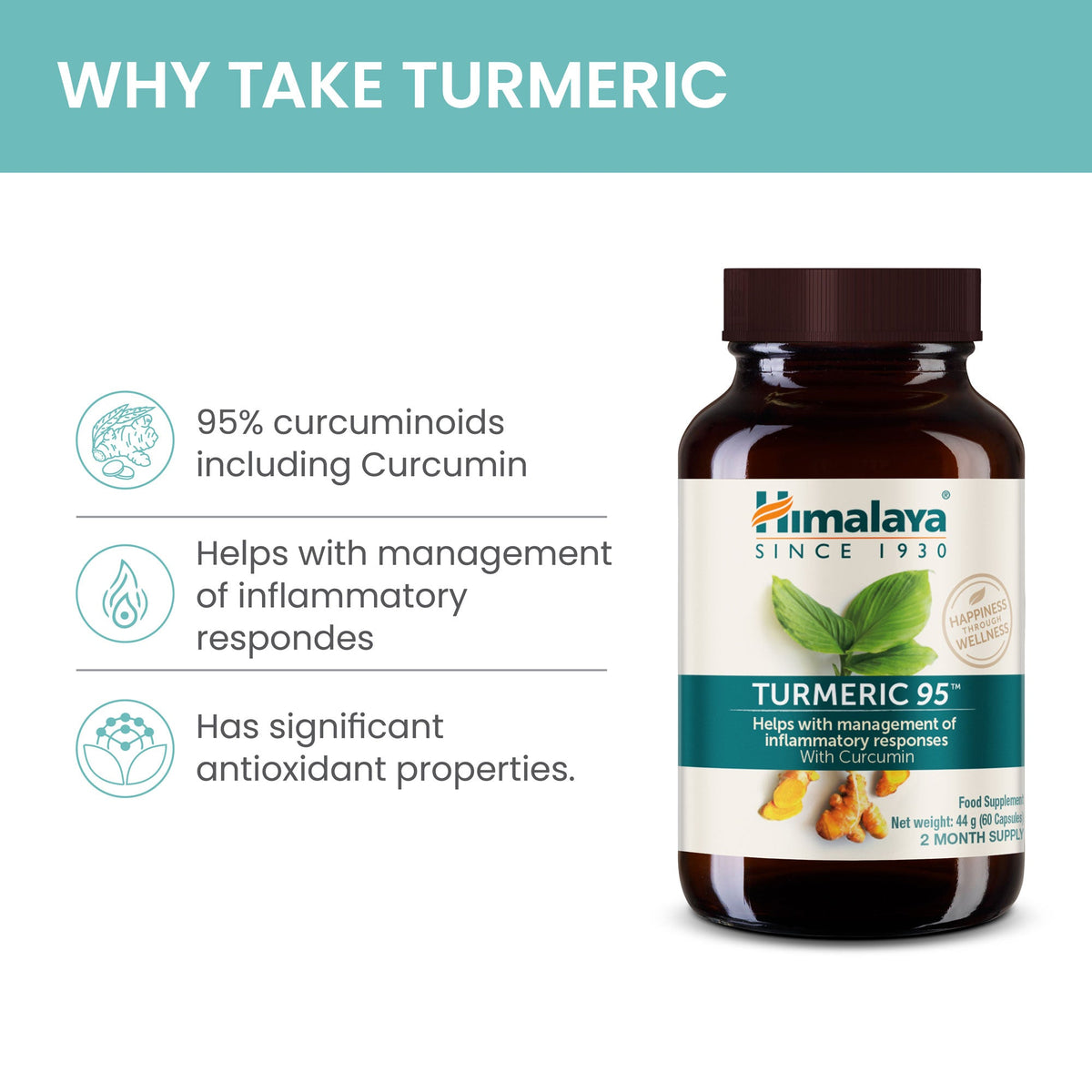 Himalaya Turmeric 95 (Curcuma)-1