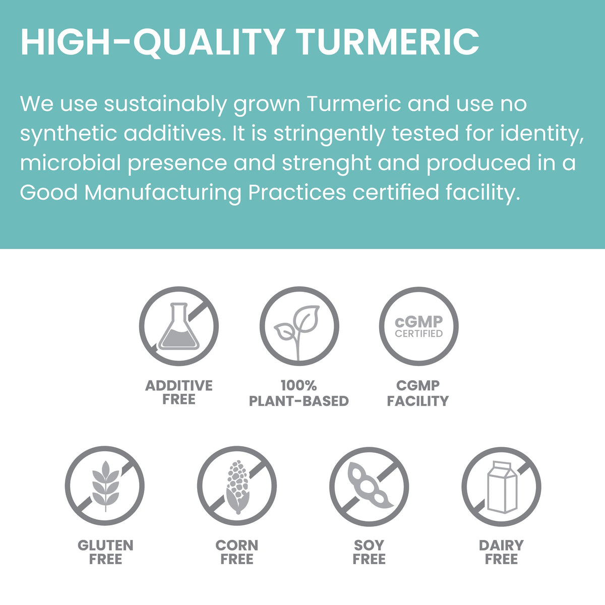Himalaya Turmeric 95 (Curcuma)-4