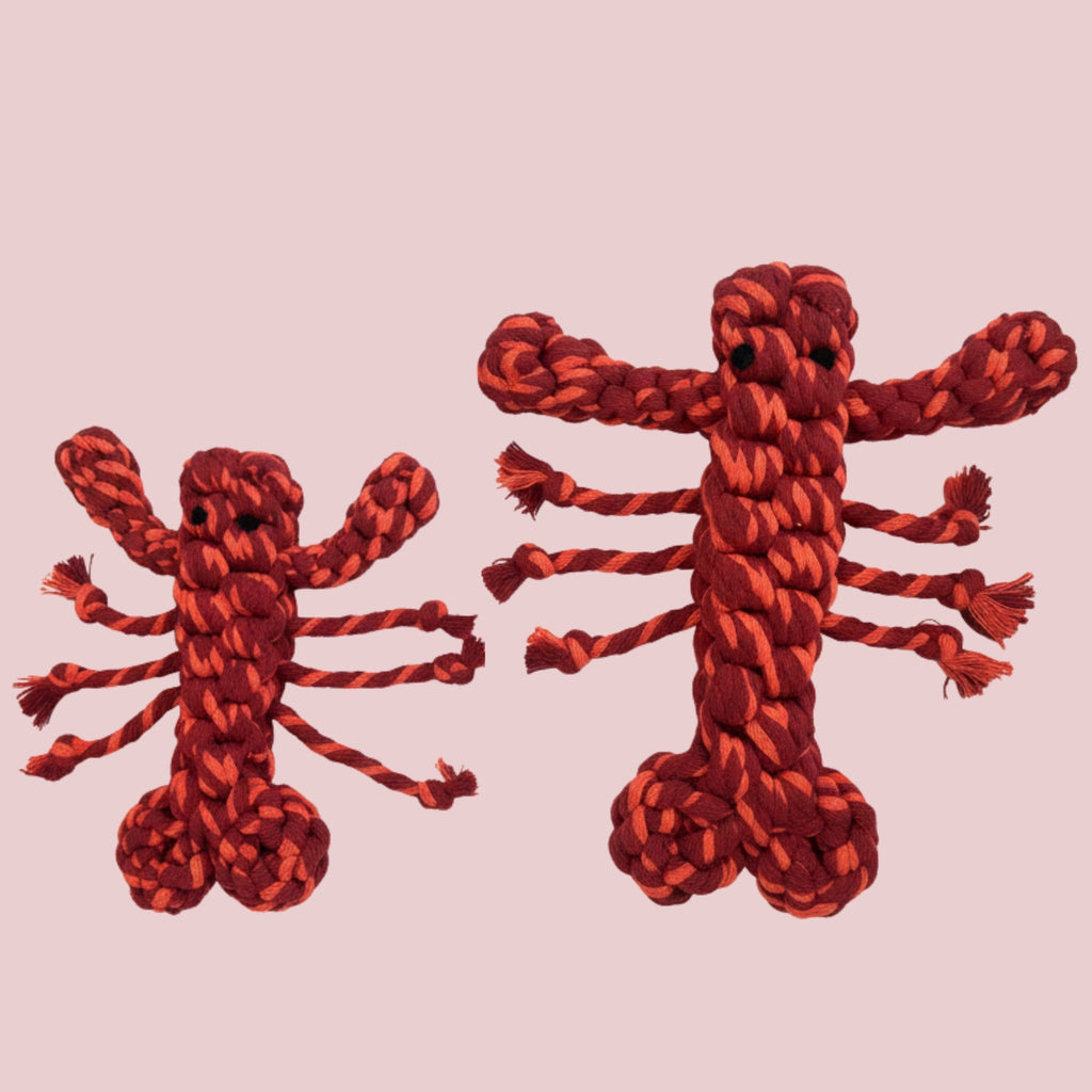 Coral Pop Lobster Pet Toy | Thicker and Stronger-1
