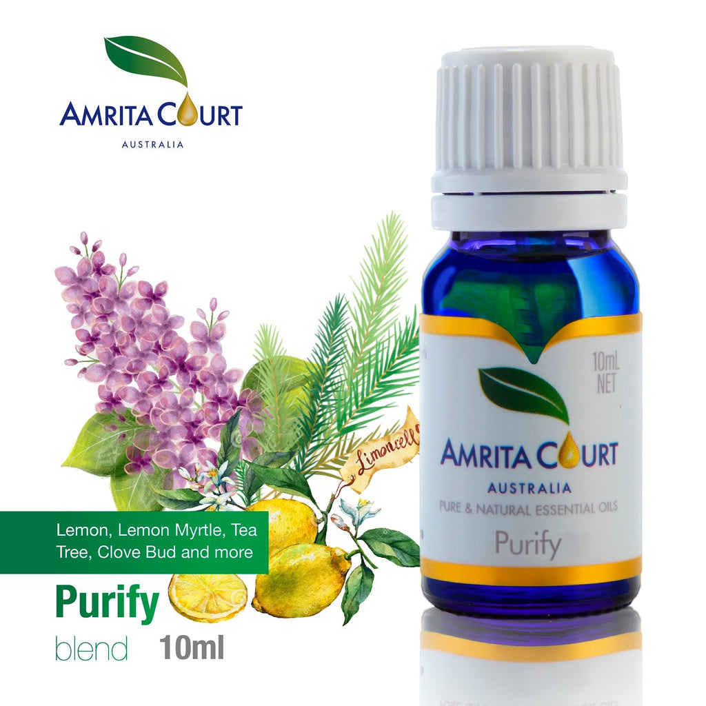 No Germ Duo Bundle | Purify + Breathe Easy Essential Oil Pair for Clean Air & Respiratory Support-2