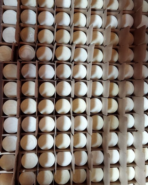 Organic Certified Balancing Solid Shampoo - Sandalwood - Normal & all Hair Types 60g-12