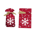 Christmas Bundle Gift Bag-0