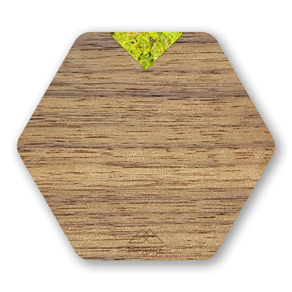 Wooden Coasters - American Walnut / Set of 4 Coasters-11