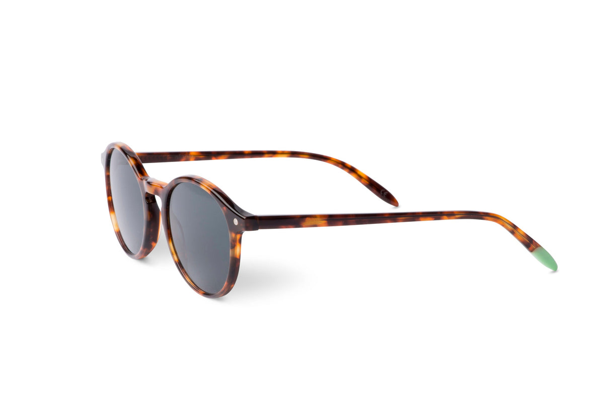 Yala – Tortoise - SUNGLASSES-2