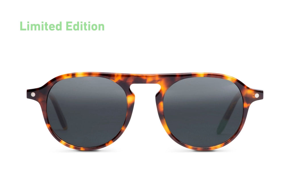 Zingaro – Tortoise - SUNGLASSES-0