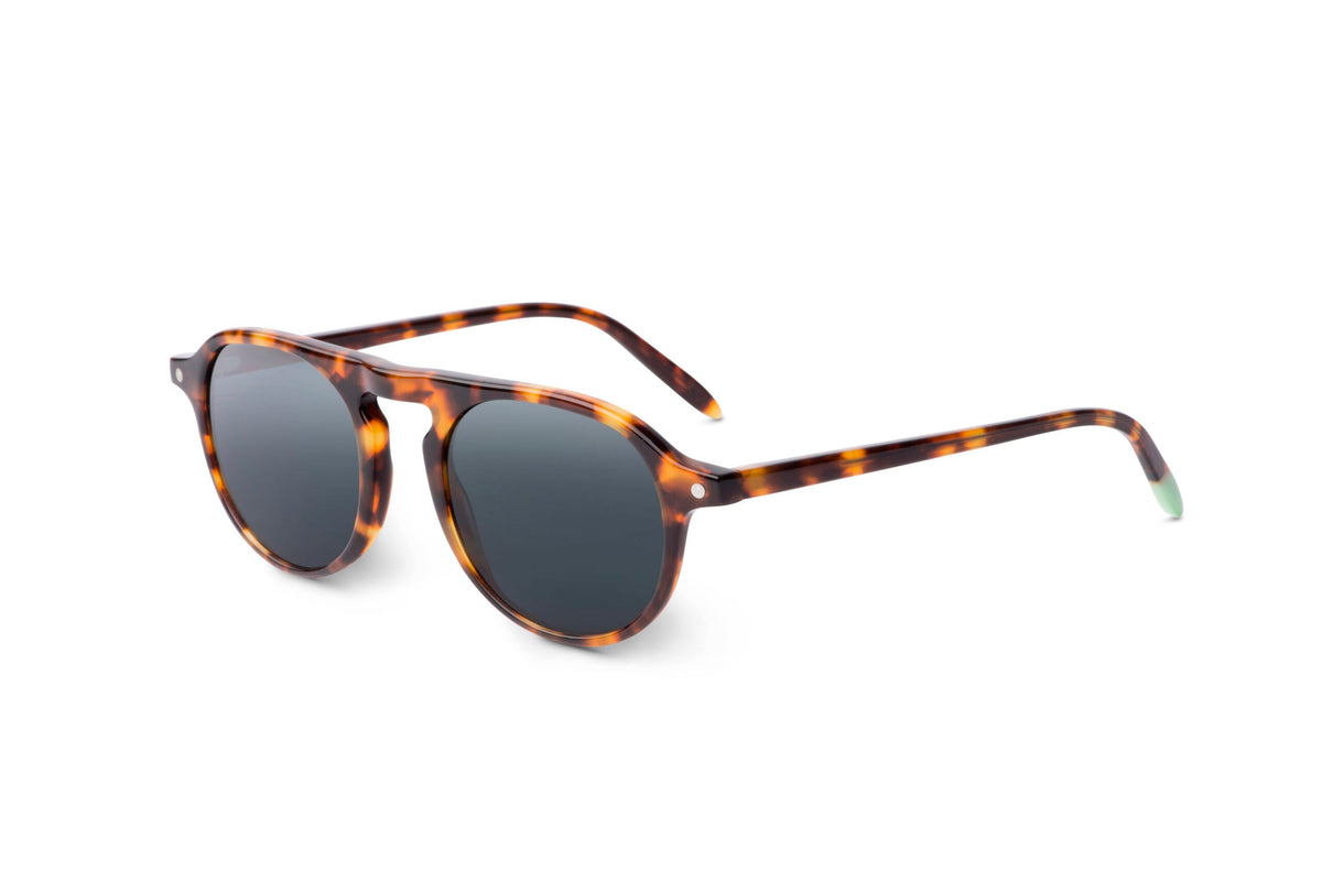 Zingaro – Tortoise - SUNGLASSES-1