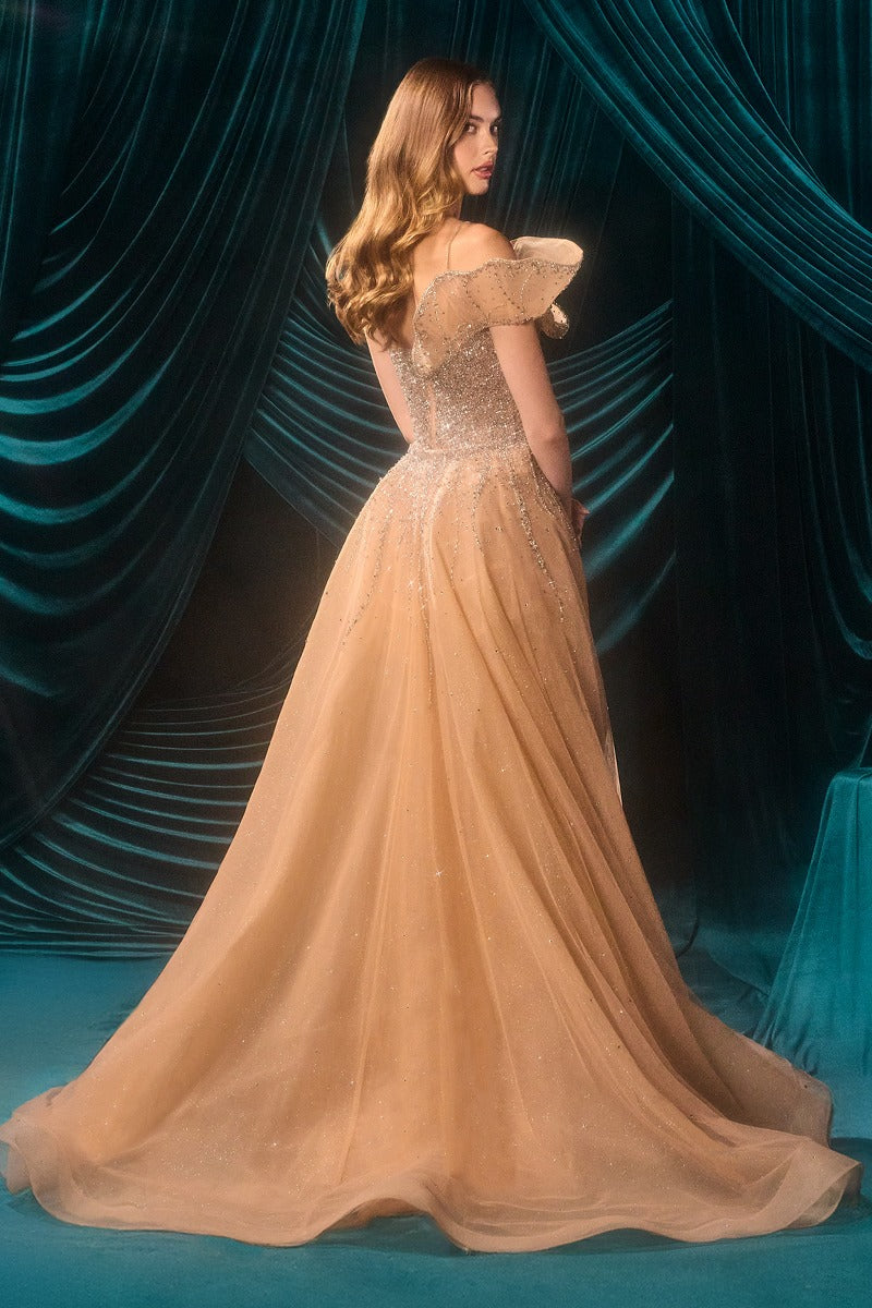Elegant Embellished Formal Long Special Occasion Gown Detailed CDA1505