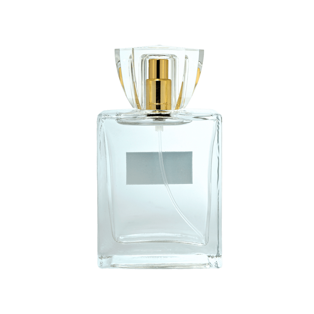 Absolu-1