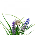 Hedgehog-0