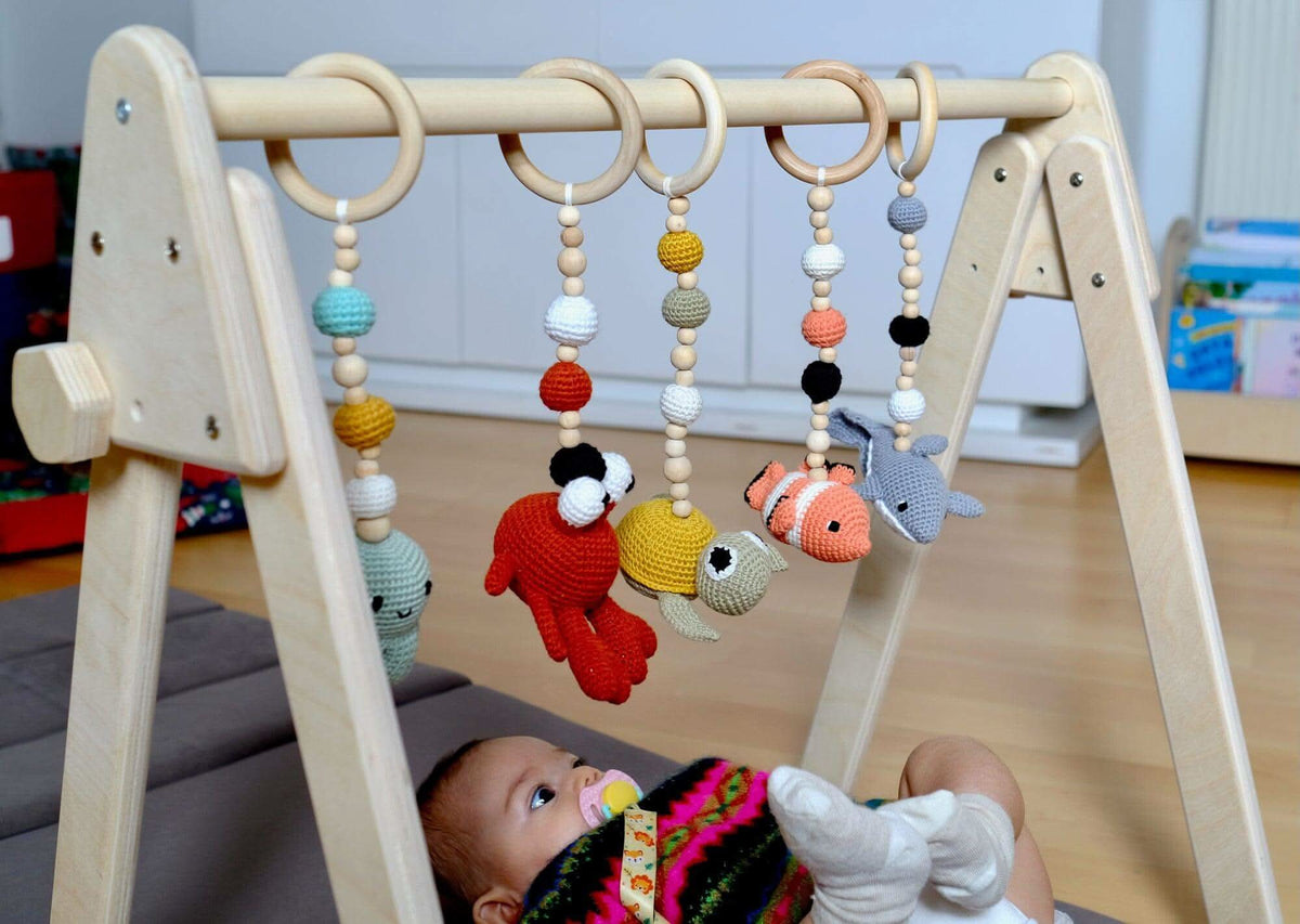 Baby Play Gym & Hanging Toys