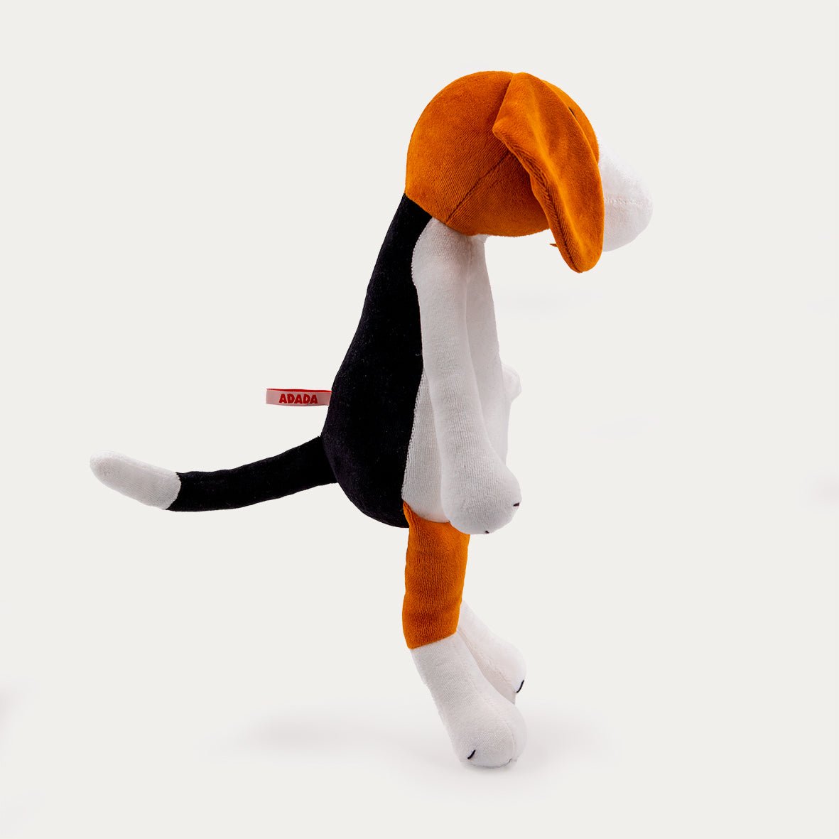 BARRY LE BEAGLE - L-1