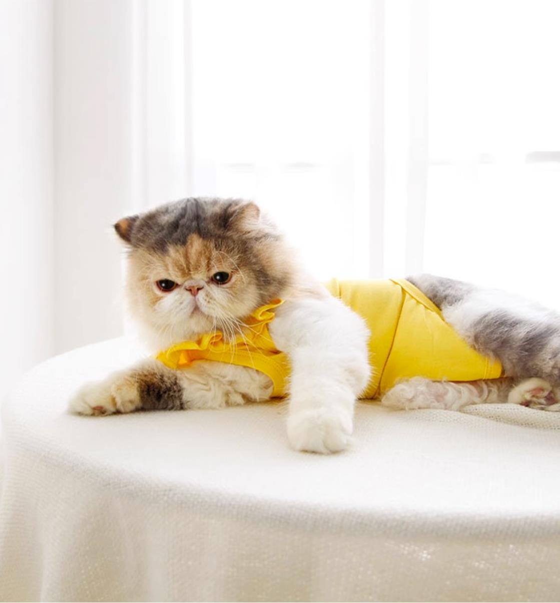 Breathable Cat Recovery Suit with Ruffle Collar-6
