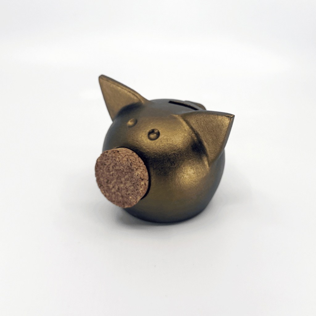 Handmade Ceramic Piggy Bank - 🍂 Autumn Collection-0
