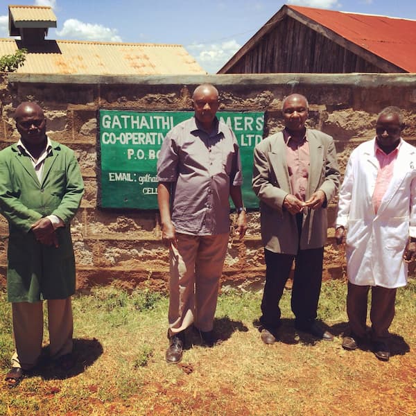Kenya - Nyeri - Kenia Central - Lavado-4