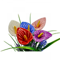 Calla flower-0